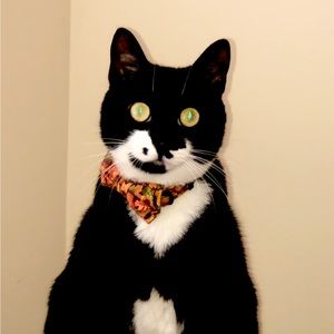 Meet your Posher, Kathleen